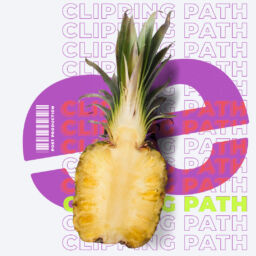 clipping-path-freistellservice-2023-lebensmitterl-ananas-54